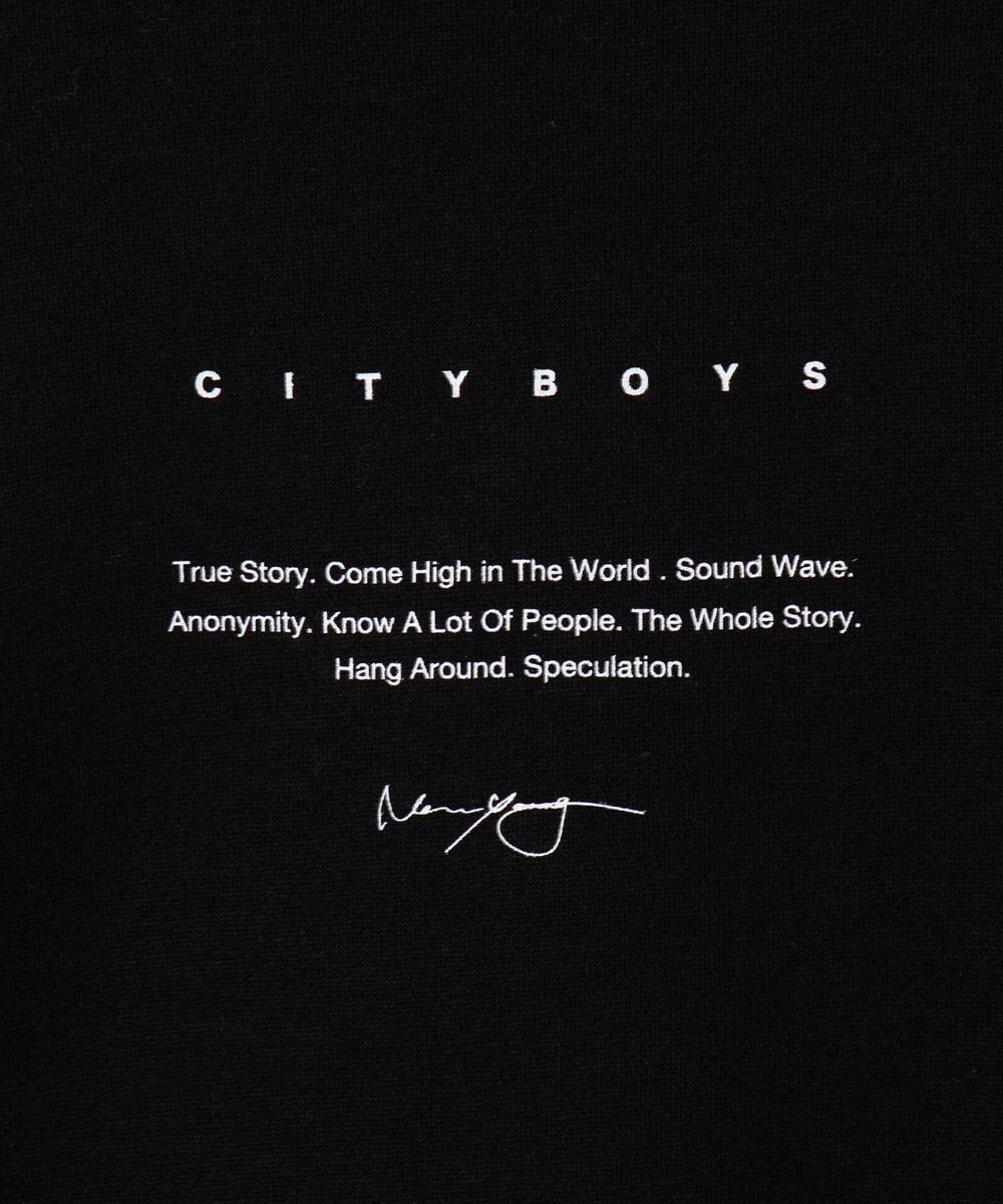 WEGO CITYBOYSプルオーバー 