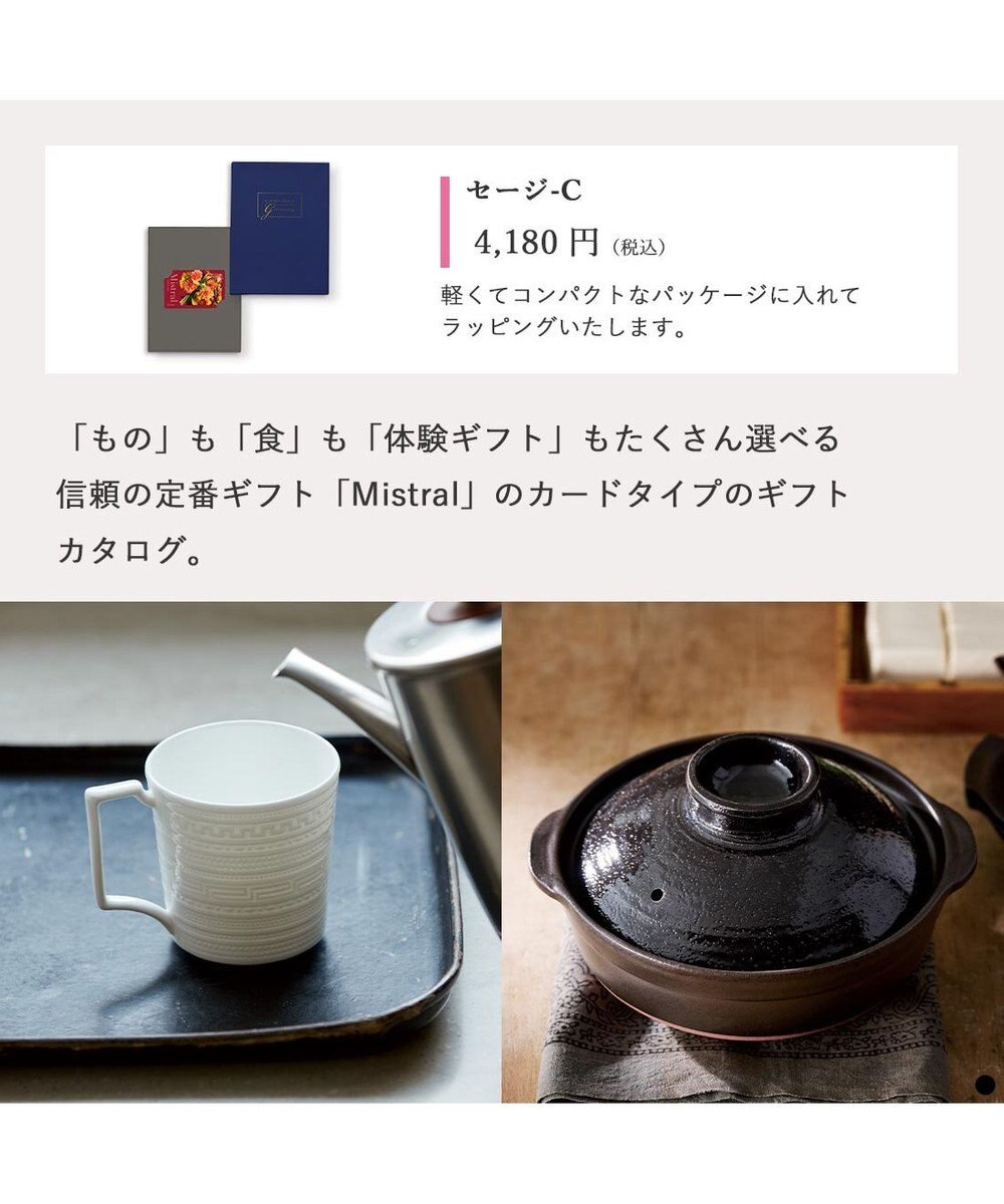 PRESENTERS ROOM Mistral(ミストラル) e-order choice(カードカタログ) ＜Sage(セージ)＞ 