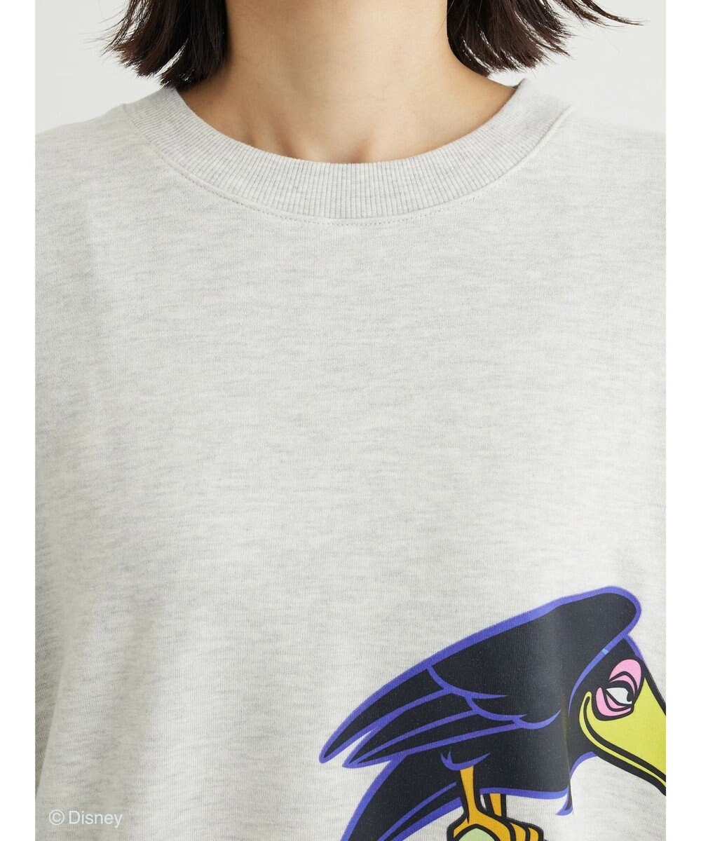 Green Parks Villains／フロントアート裏毛プルオーバー 