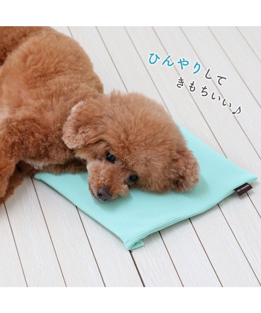 PET PARADISE ペットパラダイス  コンパクトクーラー 2025 