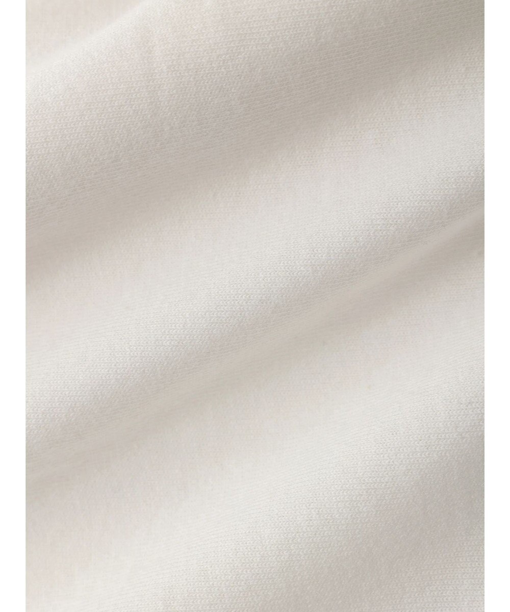 Green Parks Ｄｉｓｎｅｙ１００　ダンボ／Ｔシャツ 