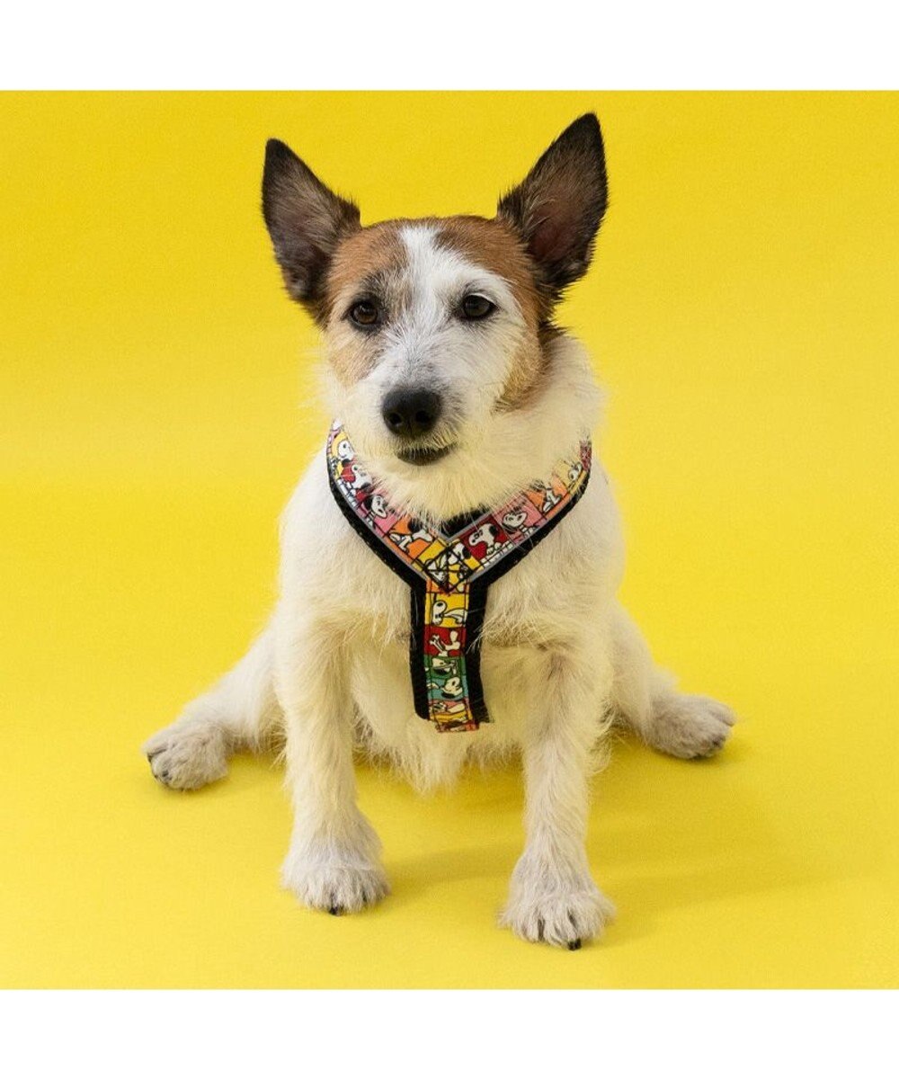 PET PARADISE スヌーピー 75周年 アクティブ ハーネス 小型犬 S 