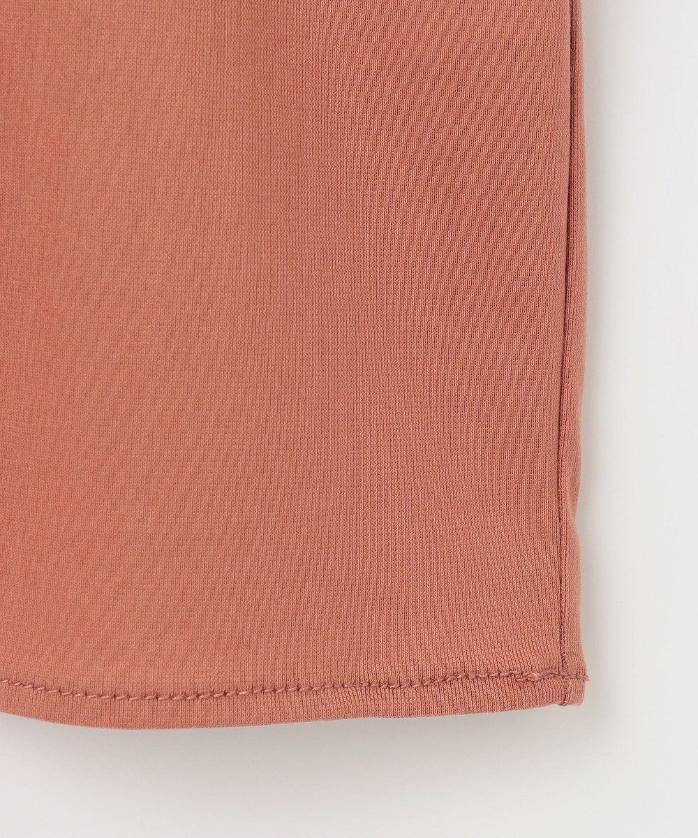 J.PRESS LADIES L シールズトリコットライト カットソー 