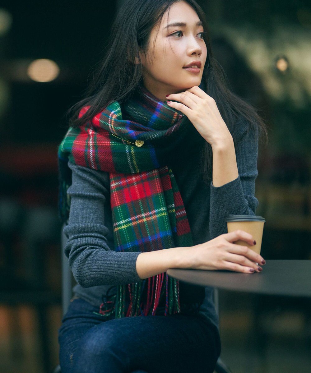 23区 【洗える】ウーステッドウール タートルネック ニット 