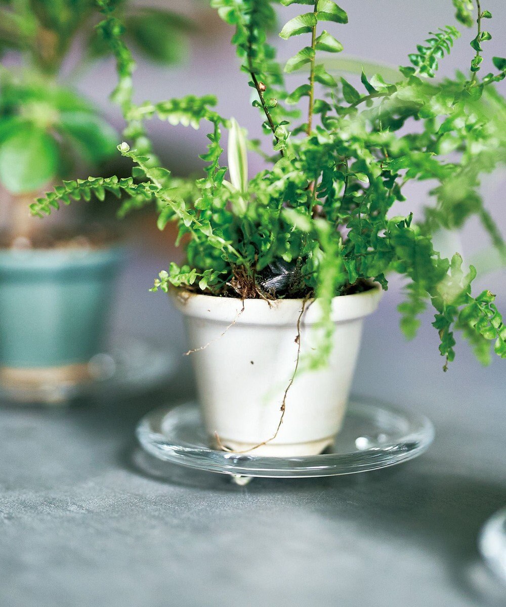 aito製作所 景　植木鉢小 