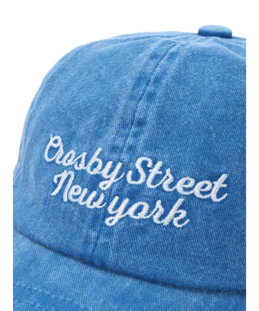 Green Parks ・ＴＯＲＣＨ　ピグメントロゴＣＡＰ 