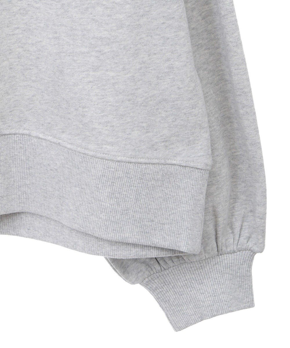 AMERICAN HOLIC ＥＶＡＮＳＴＯＮ　ミニ裏毛プルオーバー 