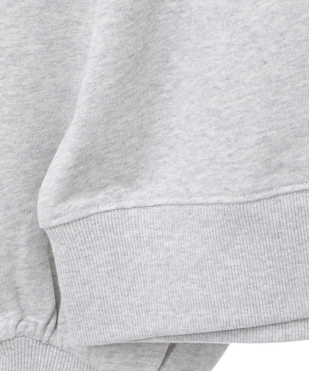 AMERICAN HOLIC ＥＶＡＮＳＴＯＮ　ミニ裏毛プルオーバー 