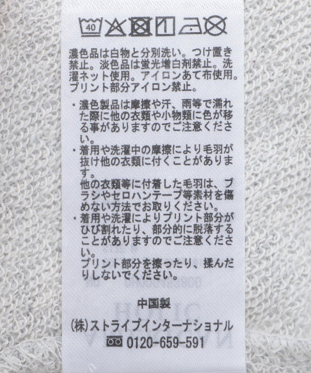 AMERICAN HOLIC ＥＶＡＮＳＴＯＮ　ミニ裏毛プルオーバー 