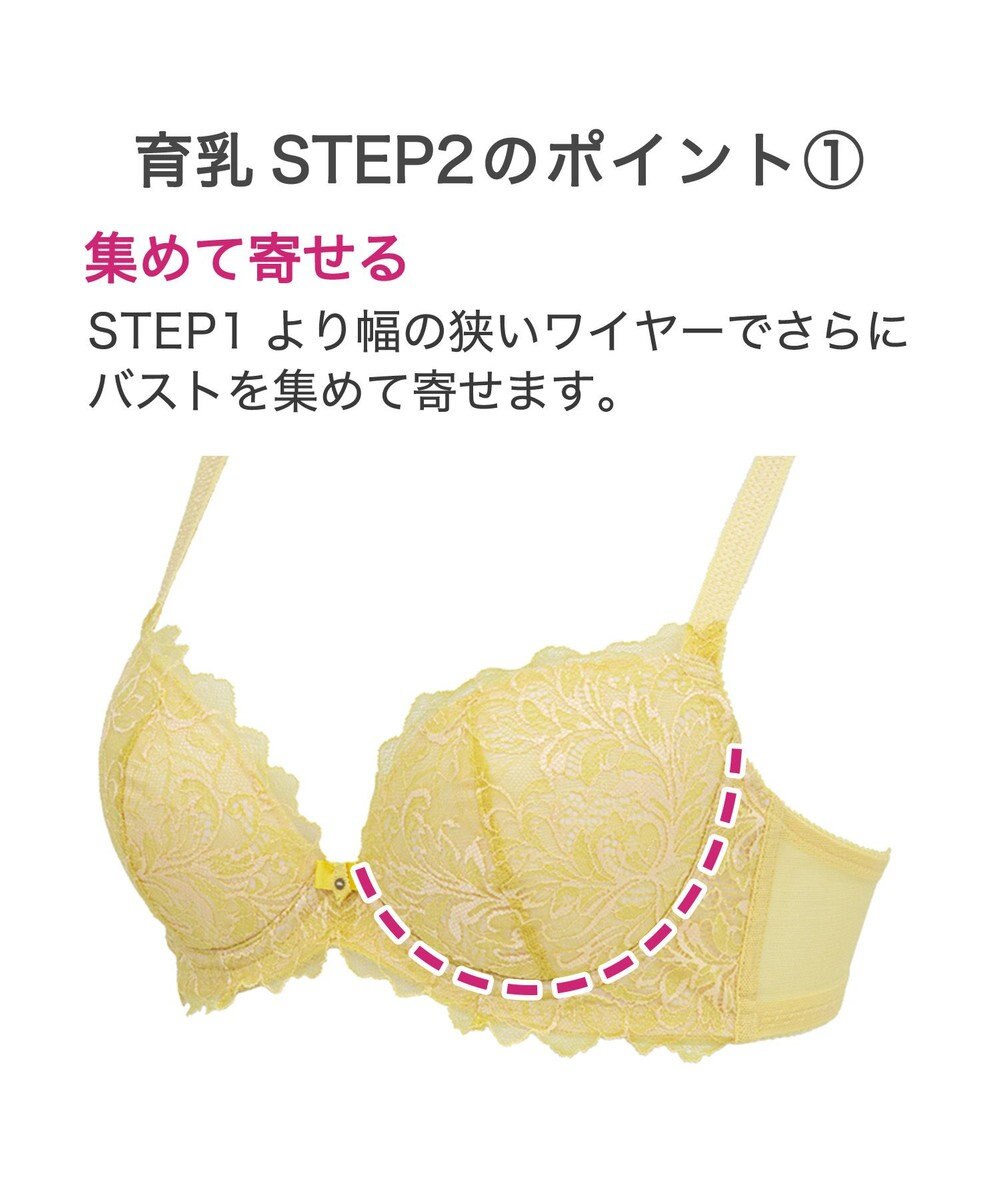 BRADELIS New York 【BRADELIS New York】ナオミステップ2ブラ23S2 バストを寄せて丸い女性らしい谷間をつくる補正ブラ 