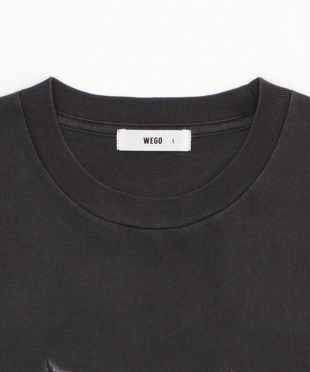 WEGO 【ユニセックス着用ITEM/MLサイズ展開】コンパクトフィットピグメントグラフィックT（SS） 