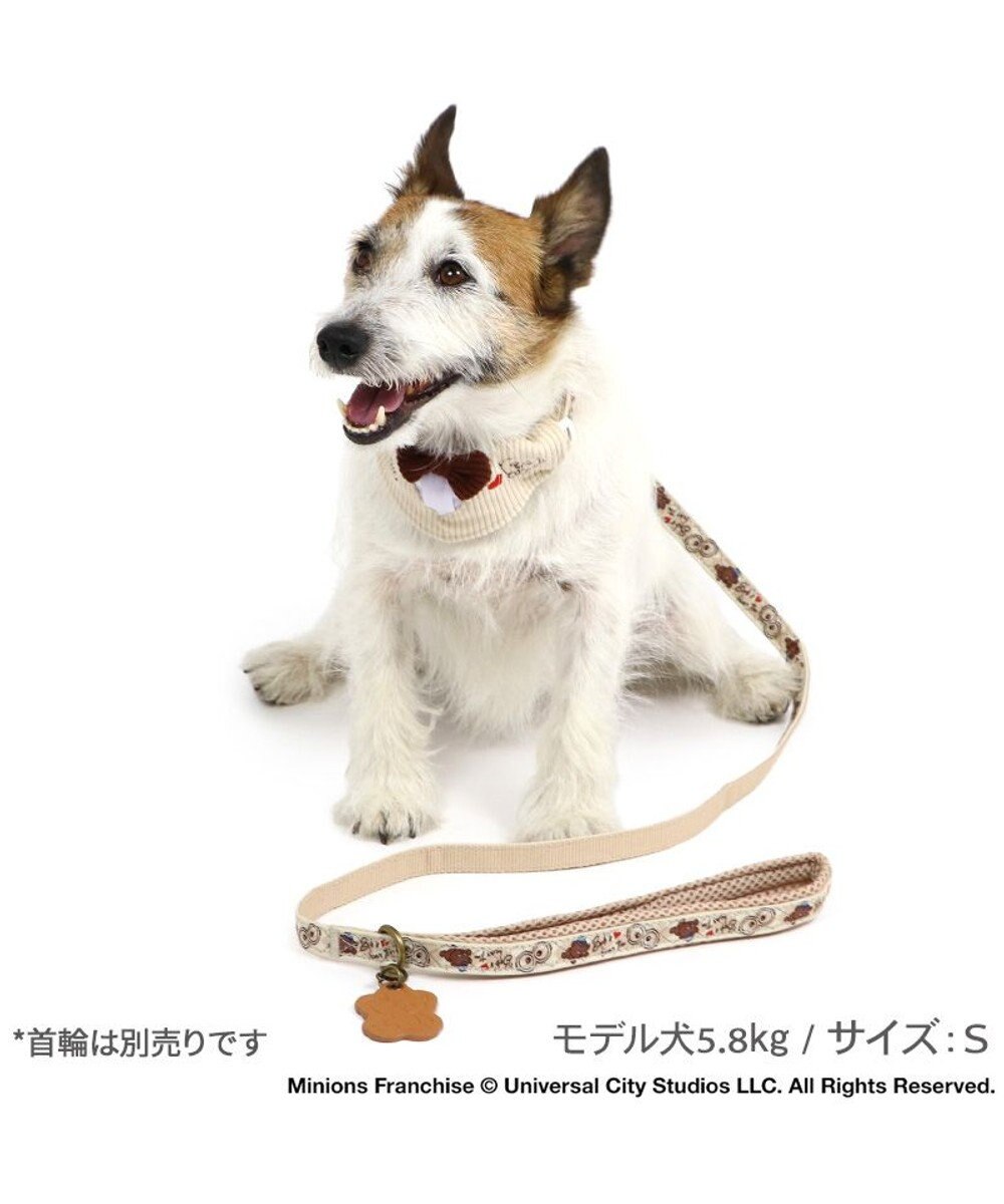 PET PARADISE ミニオン ティム アーガイル リード 超小型犬 ～３S 