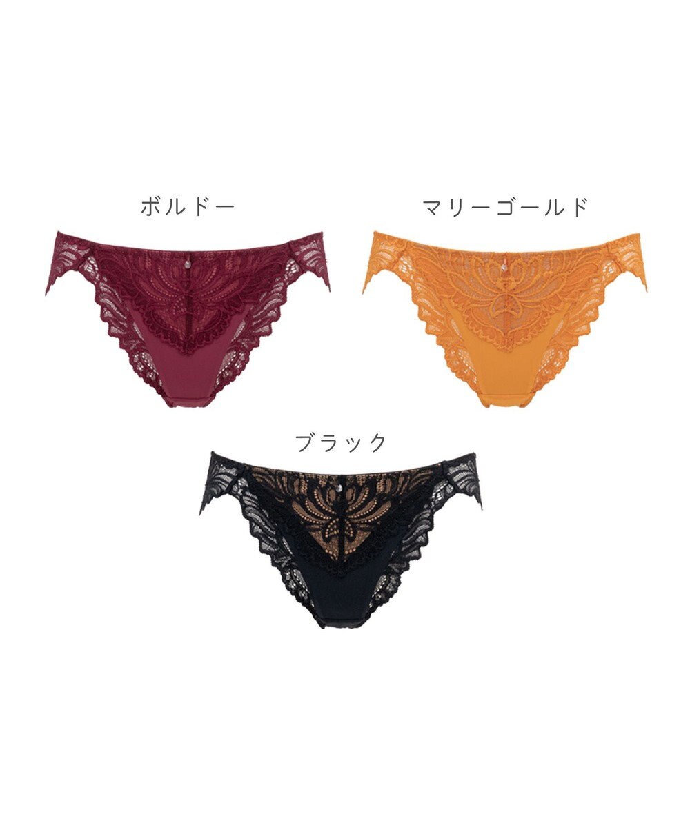 BRADELIS New York 【BRADELIS New York】　サポートバックラインスタイルパンティ23A1 