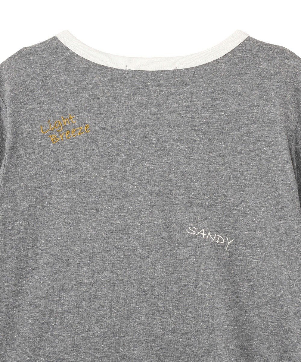 AMERICAN HOLIC ランダムロゴ刺繍リンガーTシャツ 