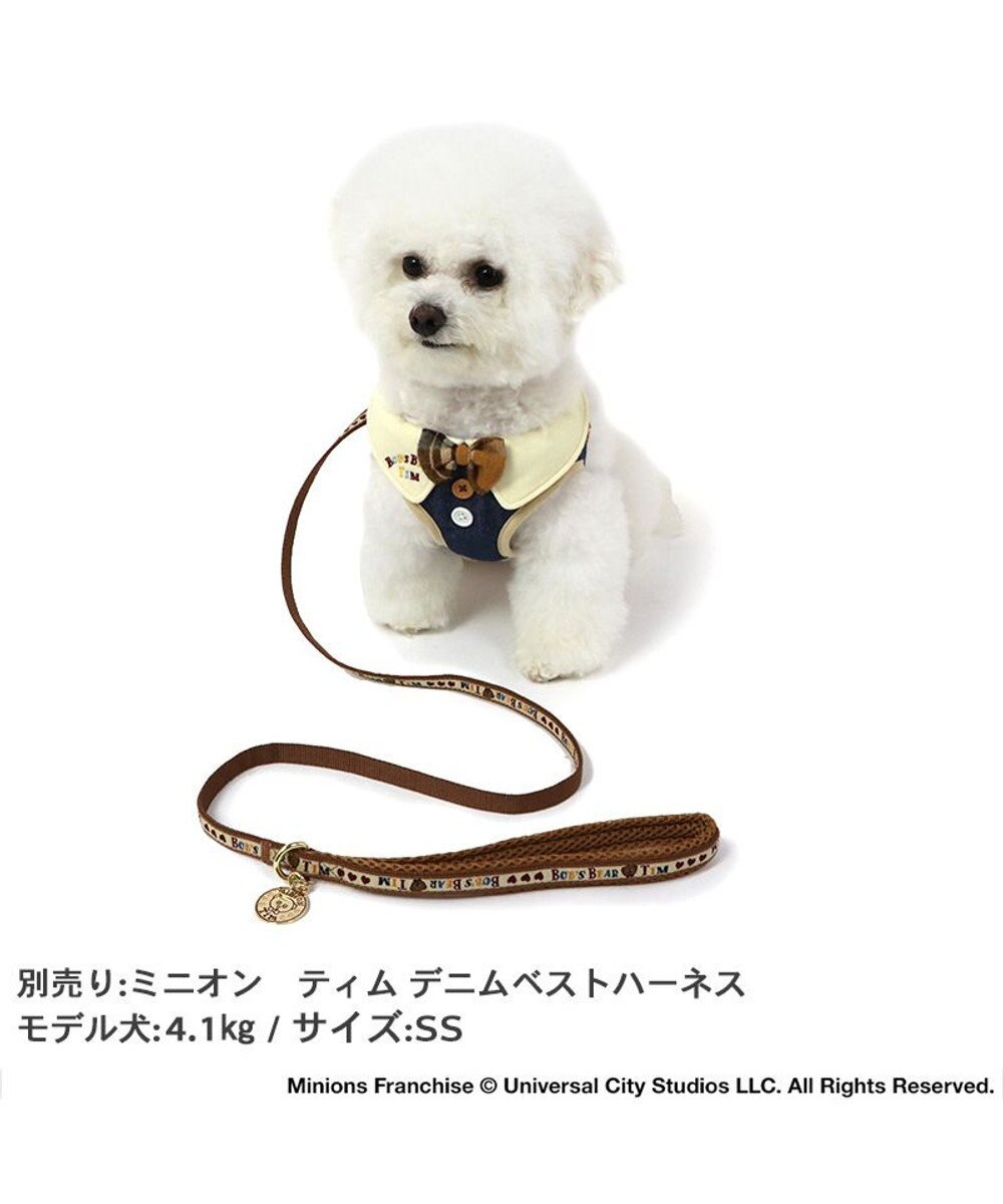PET PARADISE ミニオン ティム リード 【４Ｓ~３Ｓ】 レトロ柄 小型犬 