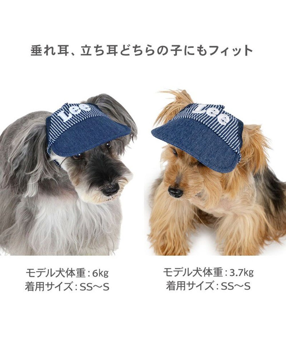 PET PARADISE Lee  ヒッコリー キャップ 小型犬 