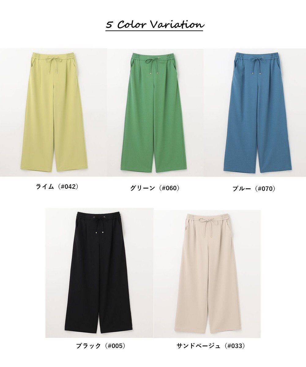 ANY L 【ウエストゴム】イージケア美脚パンツ ワイド 