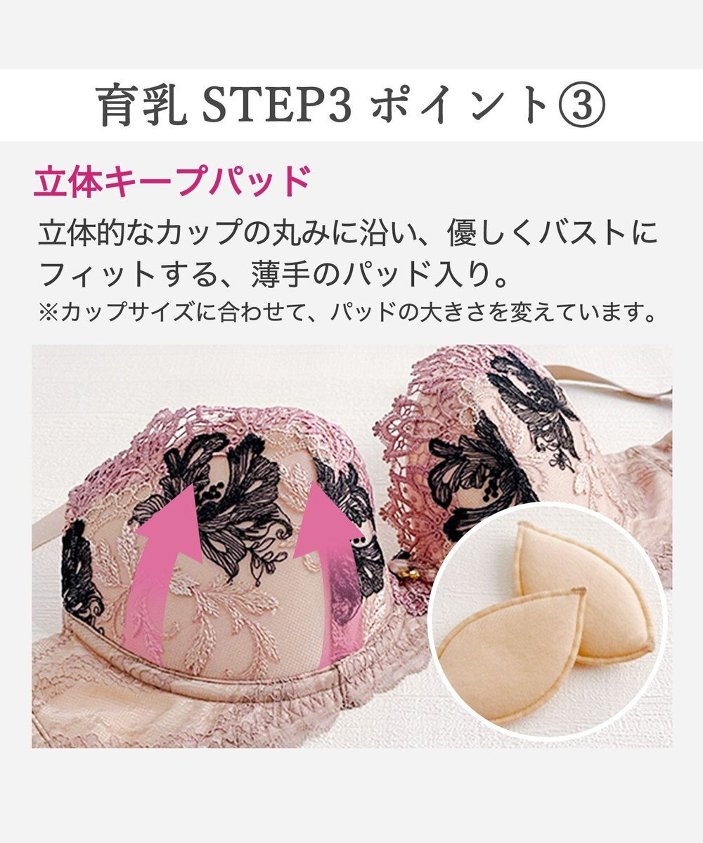 BRADELIS New York 【BRADELIS New York / 育乳STEP3 持ち上げる】ヴィオラステップ3ブラ25A1 