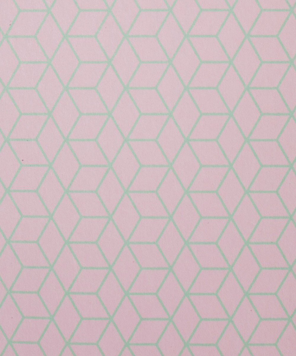 TRICOTE DICTIONARY SYUGI BUKURO 