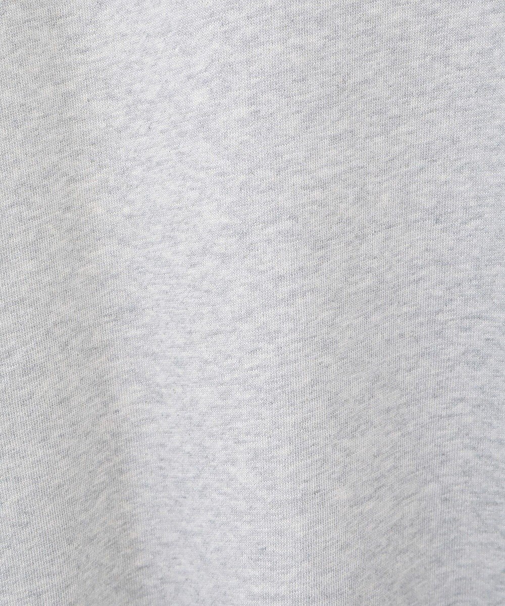 AMERICAN HOLIC ＥＶＡＮＳＴＯＮ　ミニ裏毛プルオーバー 