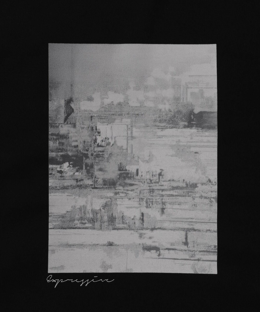 WEGO グラフィックステッチT（LS） 