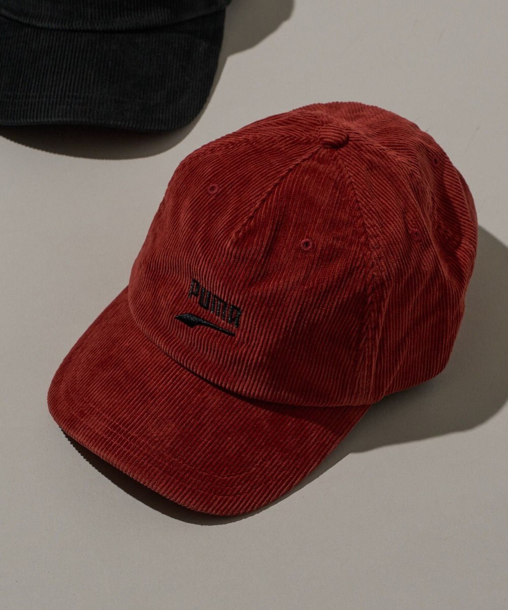 WEGO PUMA　PRIME　SKATE　DAD　キャップ 