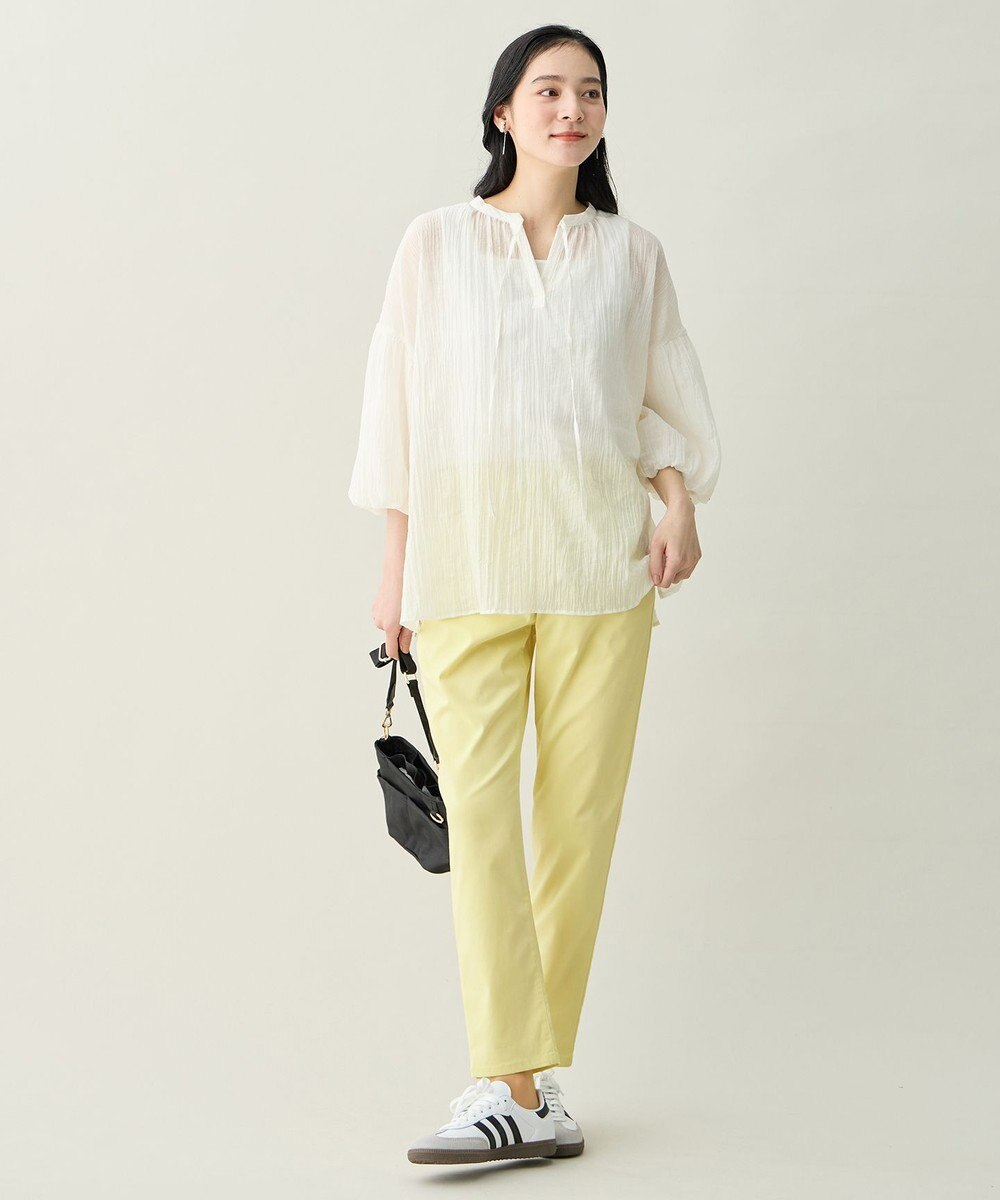 ANY L バルーンスリーブスキッパーブラウス 