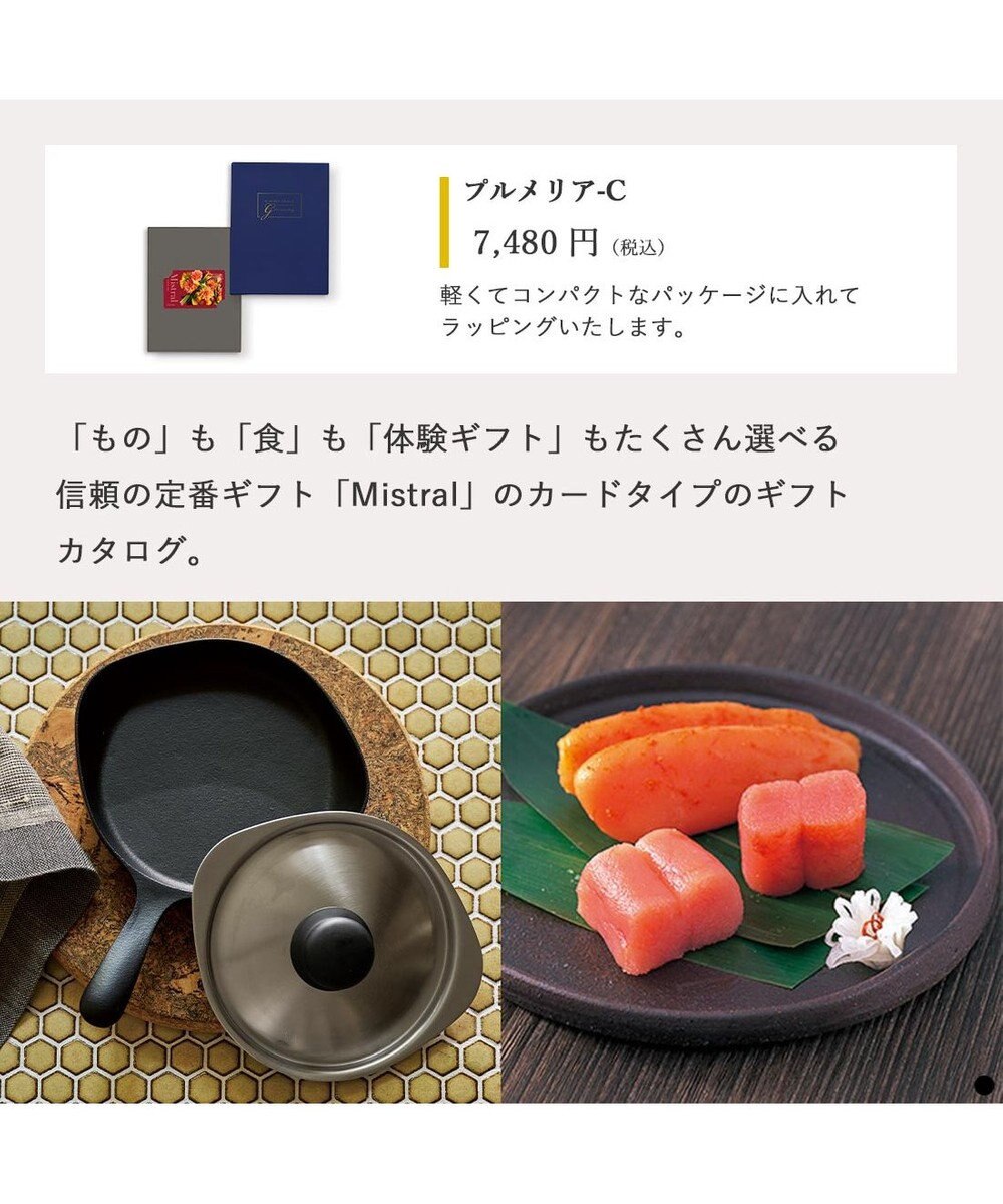 PRESENTERS ROOM Mistral(ミストラル) e-order choice(カードカタログ) ＜Plumeria(プルメリア)＞ 