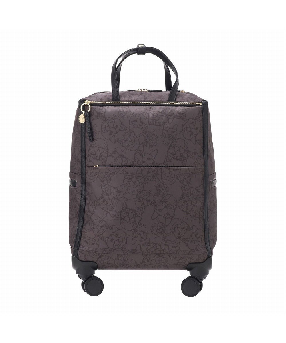 ACE BAGS & LUGGAGE HAyU × ace. ユッカTR カジュアルキャリーケース 33L 17841 エース 