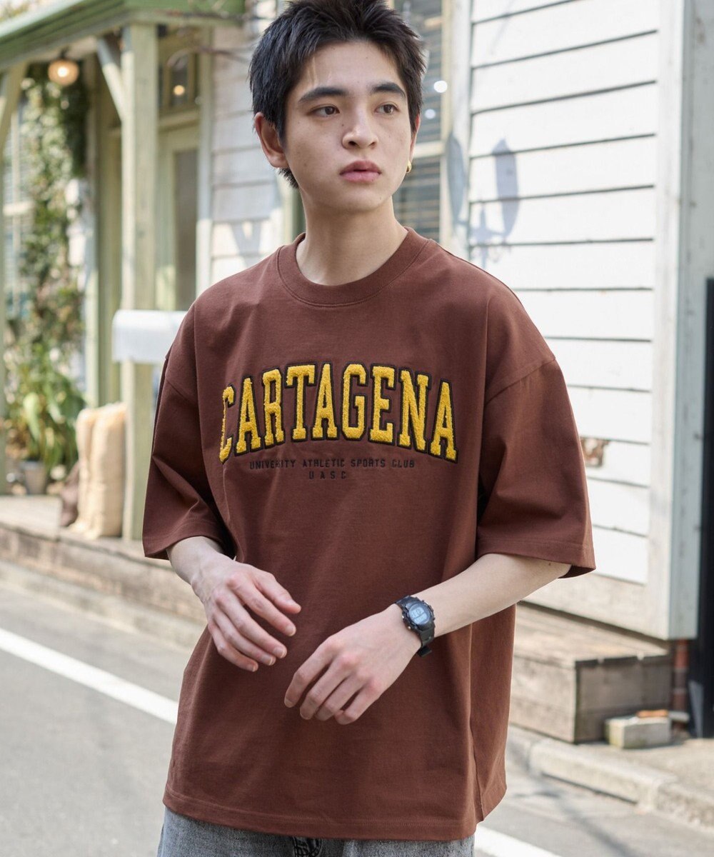 WEGO 【ユニセックス着用アイテム/MLサイズ展開】サガラワッペンロゴBIG　T（SS） 