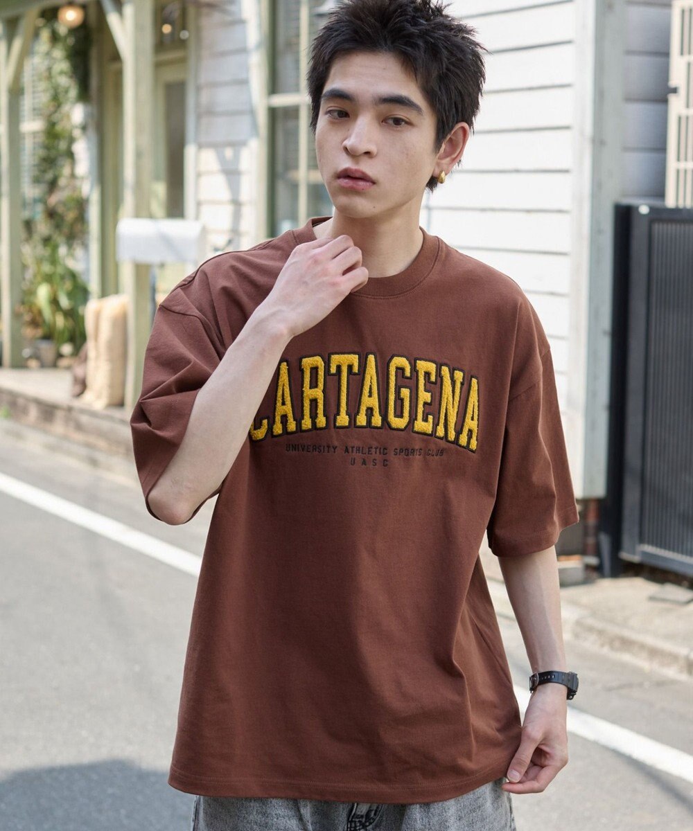 WEGO 【ユニセックス着用アイテム/MLサイズ展開】サガラワッペンロゴBIG　T（SS） 