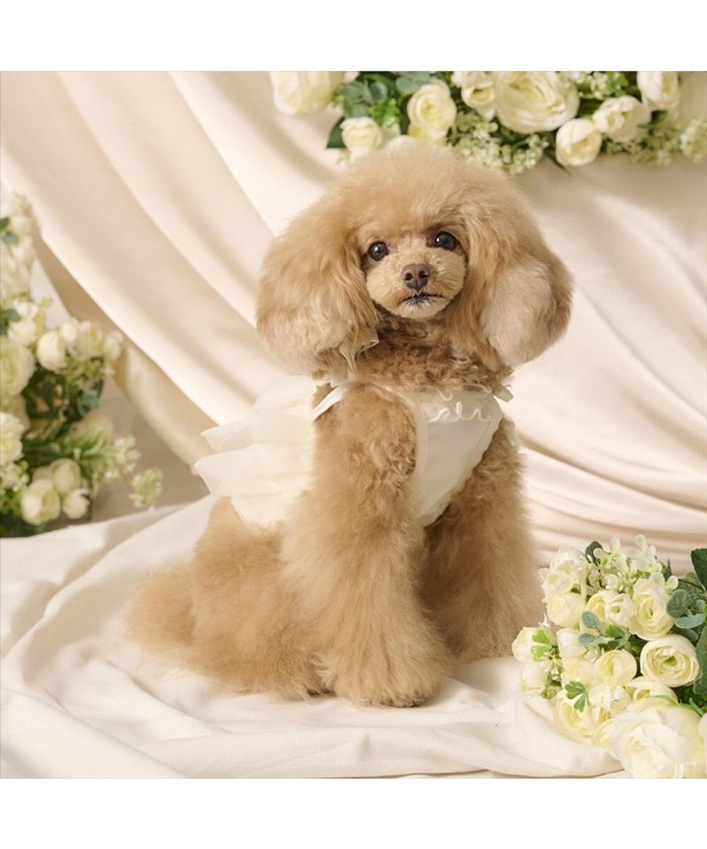 PET PARADISE cherircouture チュールビスチェ 小型犬 
