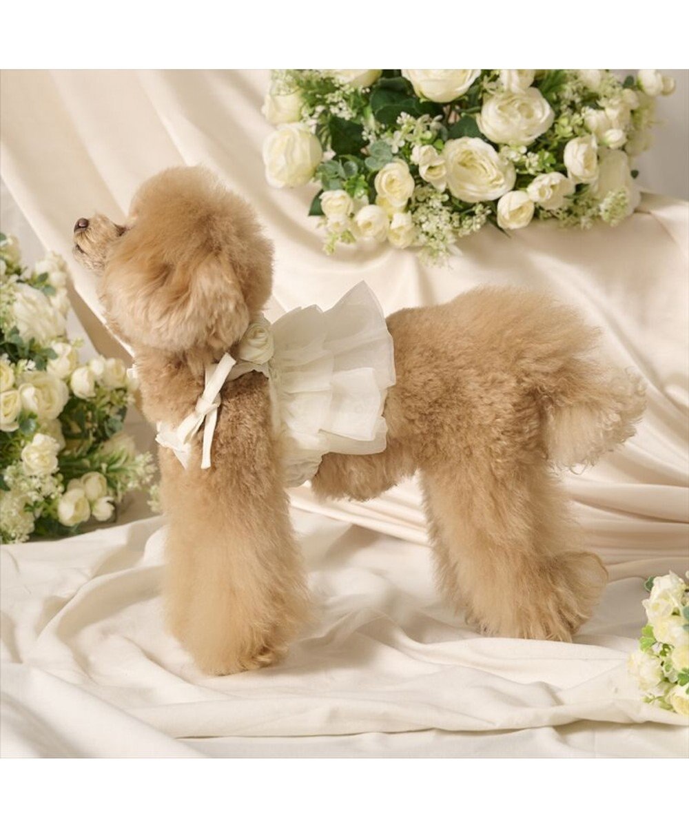 PET PARADISE cherircouture チュールビスチェ 小型犬 