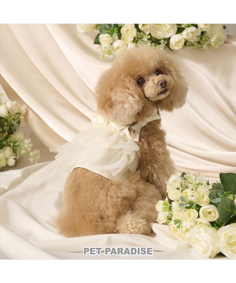PET PARADISE cherircouture チュールビスチェ 小型犬 