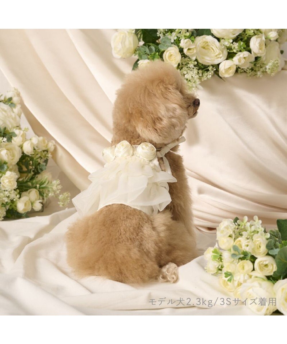 PET PARADISE cherircouture チュールビスチェ 小型犬 