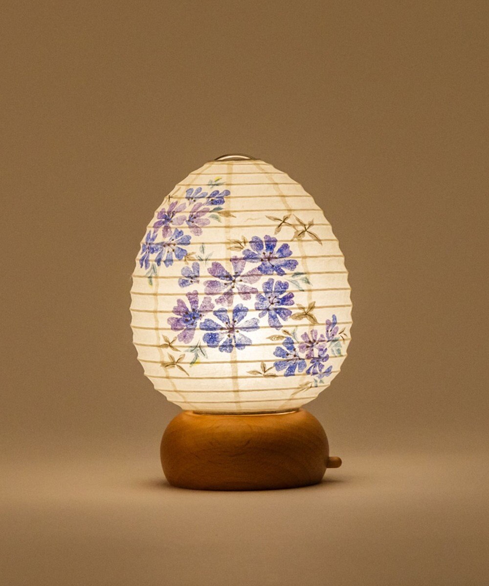 ちょうちん堂 【あかり道】〈手書絵付〉チコリ ちょうちん ライト 