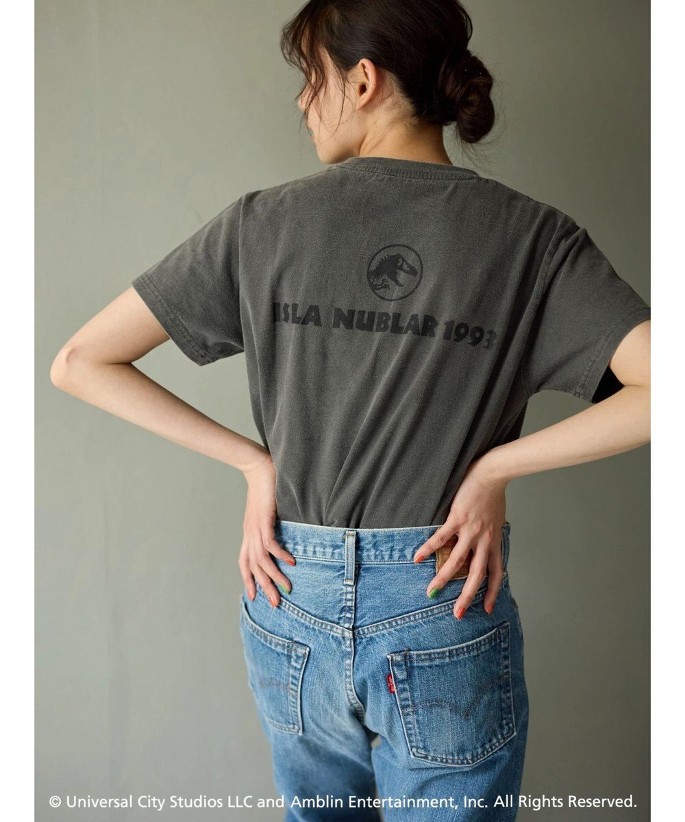 Green Parks ■ＪＵＲＡＳＳＩＣ　ＰＡＲＫ　コラージュｐｃＴ 