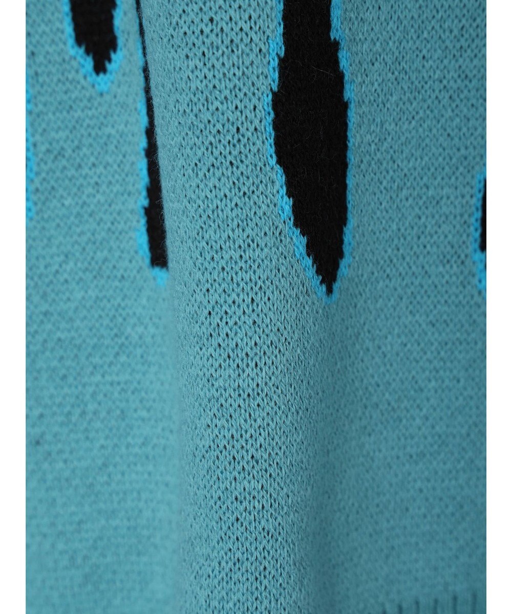 Green Parks Ｖｉｌｌａｉｎｓ／デザインニットプルオーバー 