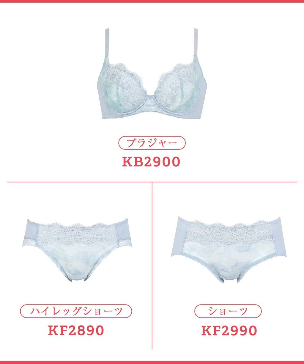 Wing ブラジャー これ1枚できれいシルエット 脇高設計 脇から背中すっきり 【スタイルアップブラ】 ブラ KB2900 ウイング／ワコール 