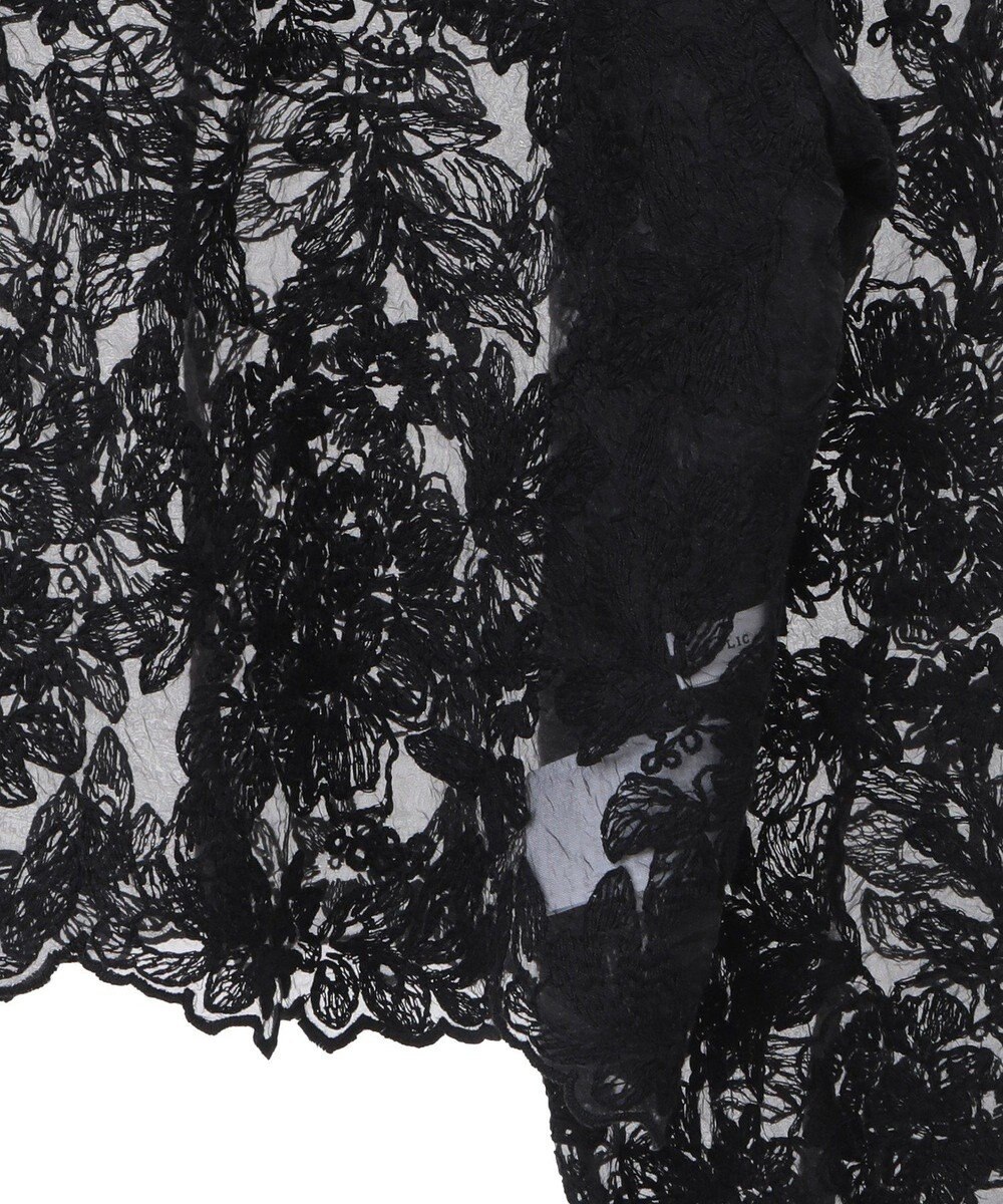 AMERICAN HOLIC 前後２WAYシアーレースブラウス 