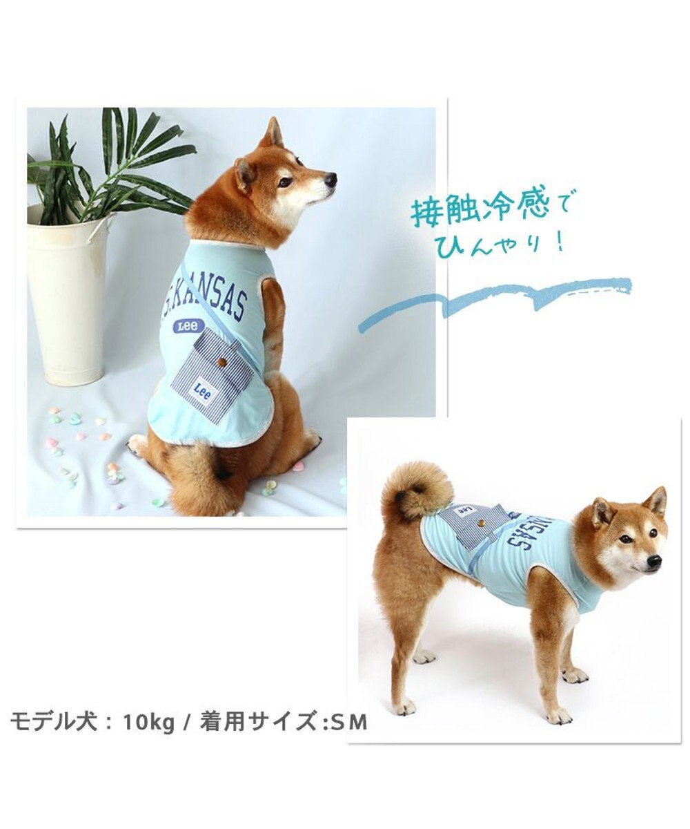 PET PARADISE Ｌｅｅポーチ ブルー Tシャツ 【中型犬】【大型犬】クールマックスエコメイド 