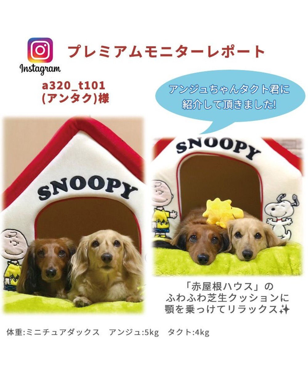 犬の図案シンブル(専用ケース付き44個組み） smcint.com