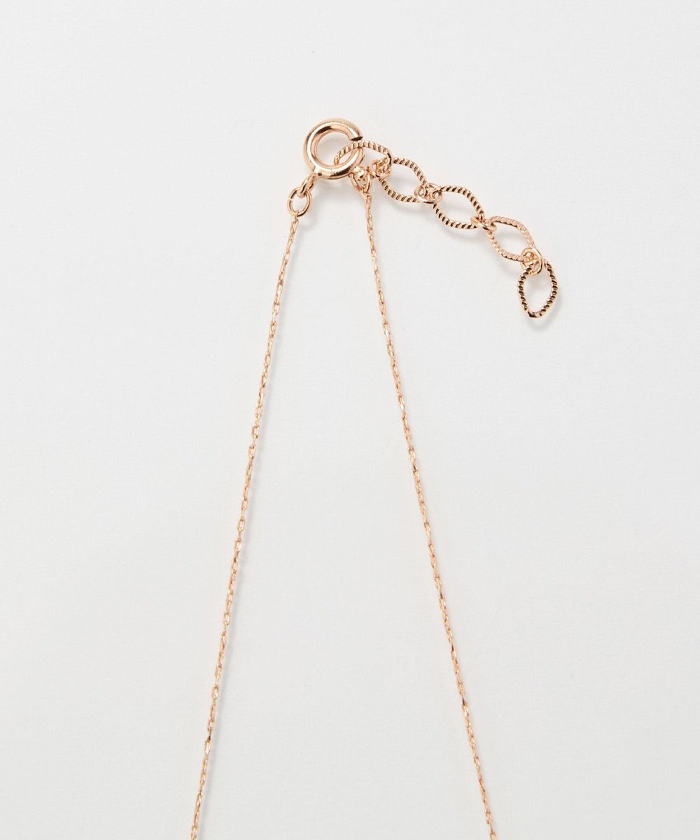 Phoebe 【金属アレルギー対応】シャイニーフチミルネックレス　シャンパンゴールド 