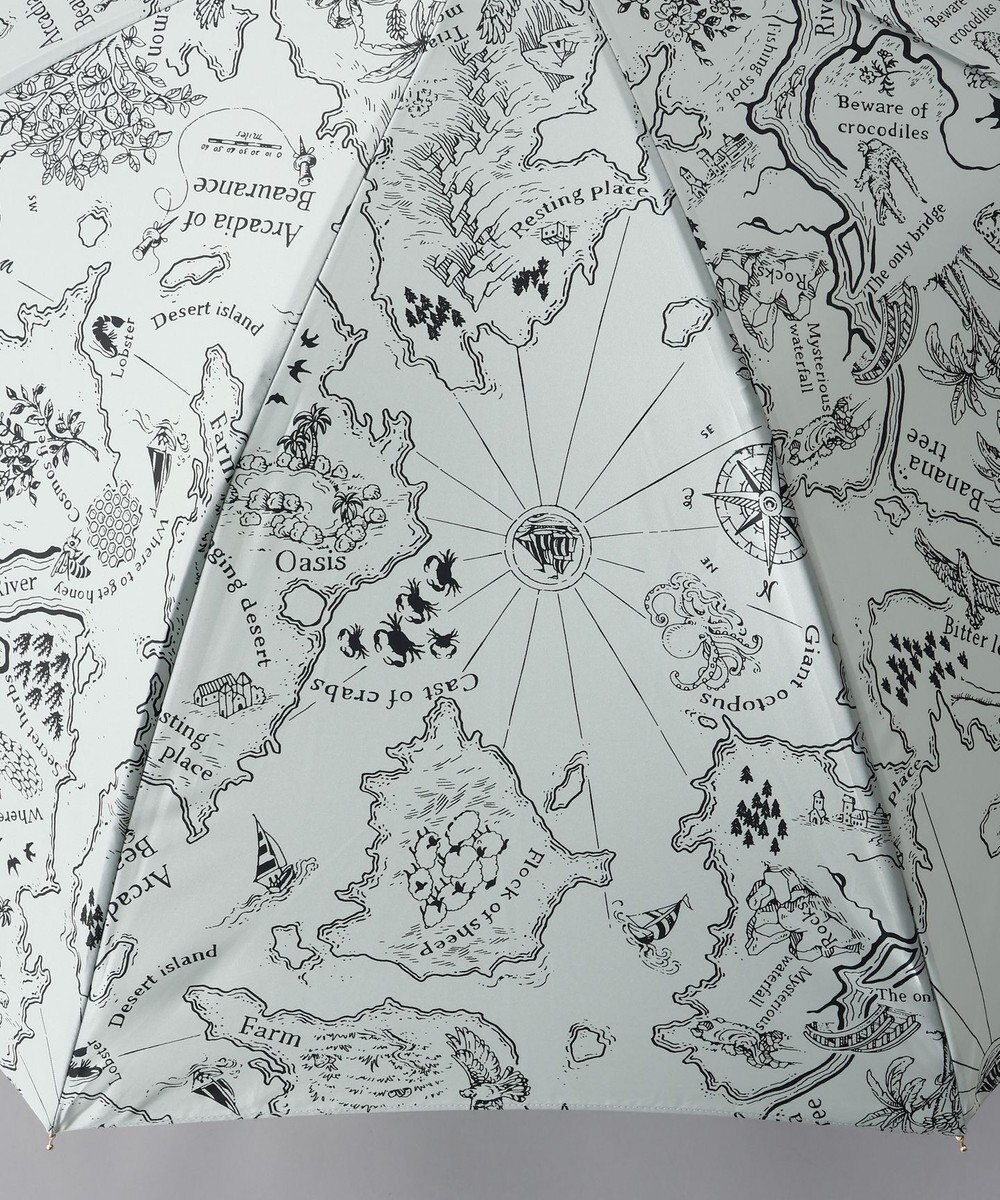 AURORA  Beaurance （ビューランス） オリジナルプリント雨傘（長傘） 