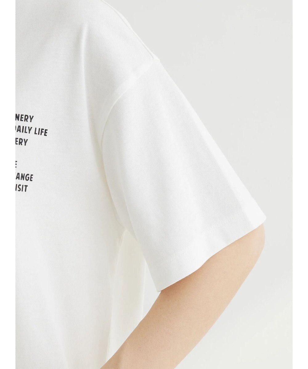 Green Parks バックフォトボックスＴシャツ 