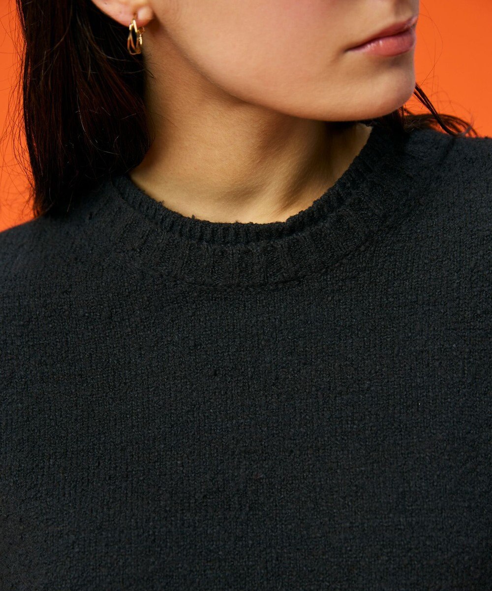 BEIGE， 【洗える】BERTAINA /  配色リンキングクルーネックニット 