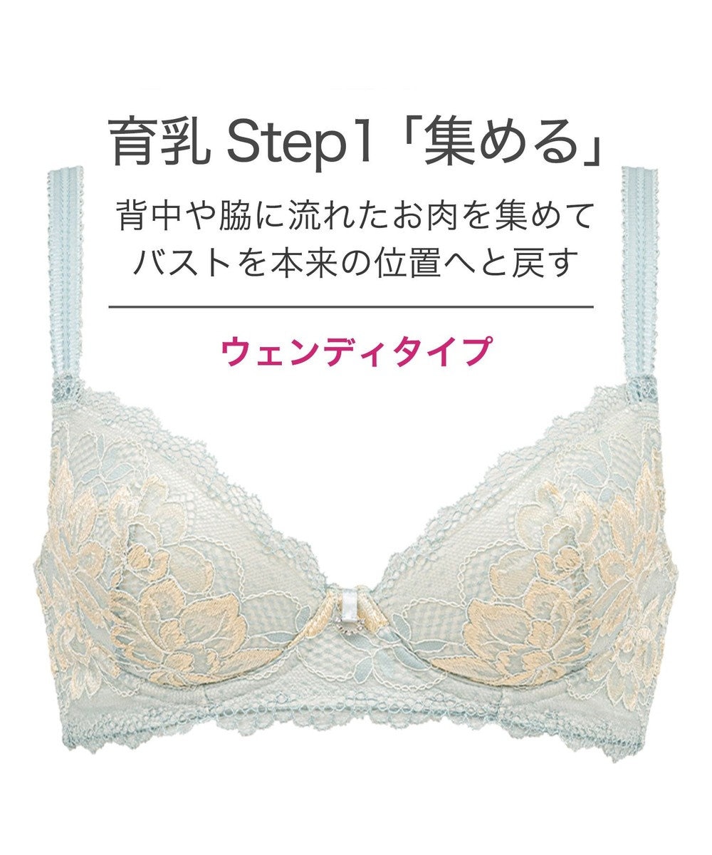 BRADELIS New York 【BRADELIS New York】ウェンディステップ１ブラ23S3　ふんわり包んでナチュラルなシルエットを作る補正ブラ 