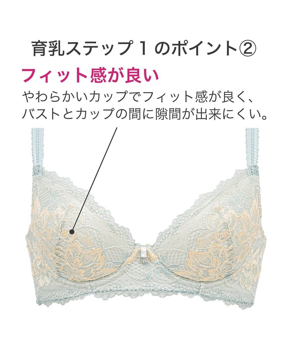 BRADELIS New York 【BRADELIS New York】ウェンディステップ１ブラ23S3　ふんわり包んでナチュラルなシルエットを作る補正ブラ 