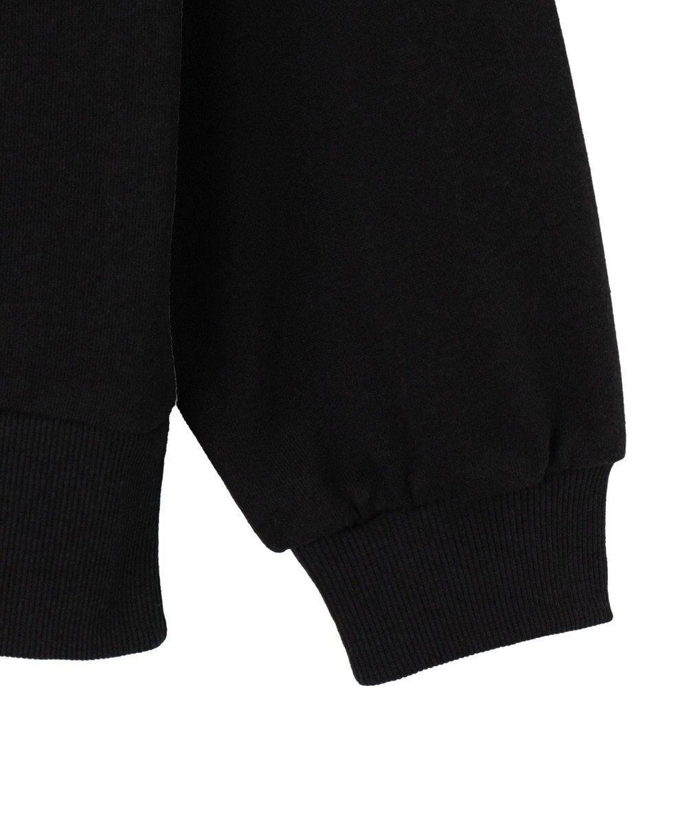 WEGO グラフィックハーフジップビッグスウェット 