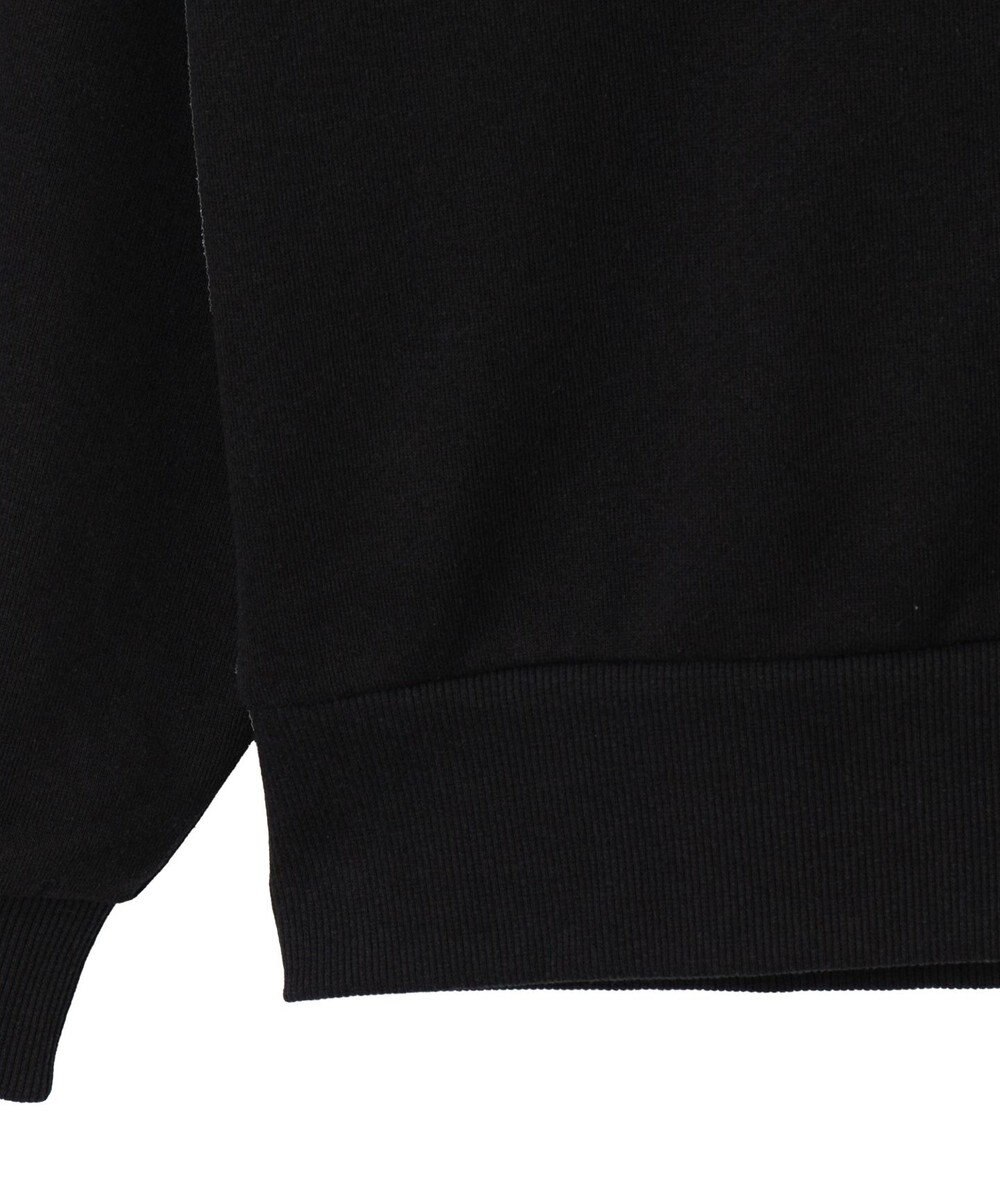 WEGO グラフィックハーフジップビッグスウェット 